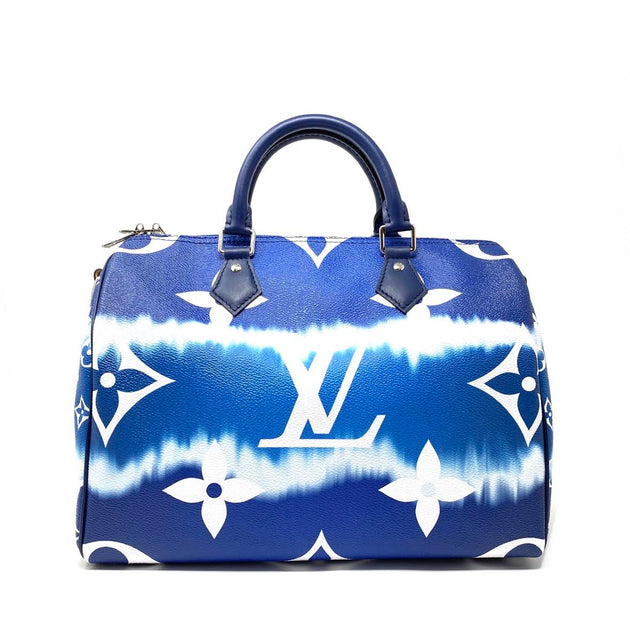 Louis Vuittion Speedy 30 - Limited Edition – ConsignIt Couture Boutique