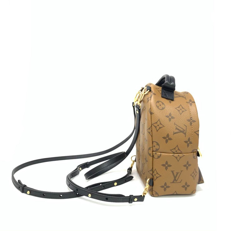 Louis Vuitton Reverse Monogram Canvas Mini Palm Springs Backpack