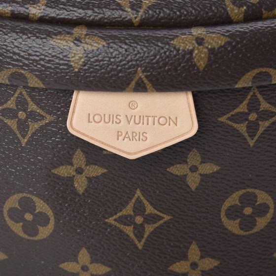 Louis Vuitton M43644 Bumbag Monogram Canvas  Louis vuitton bag, Louis  vuitton, Vuitton handbags